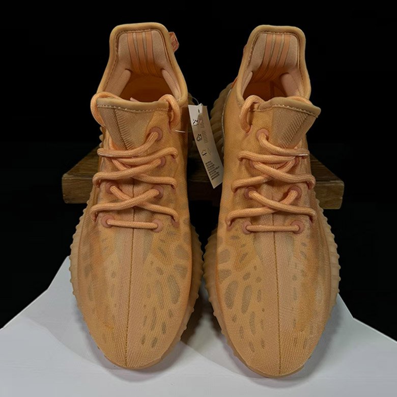 Adidas Yeezy YEEZY Boost 350 v2 Mono Clay Sports shoes in orange