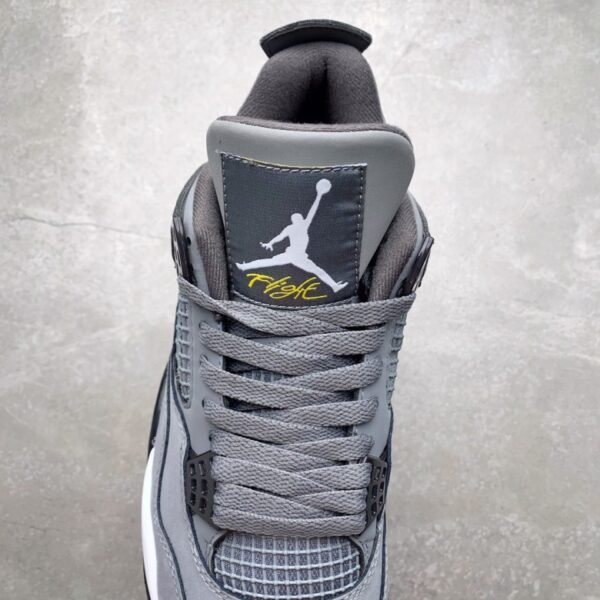 Air Jordan 4 Retro Cool Grey 2019
