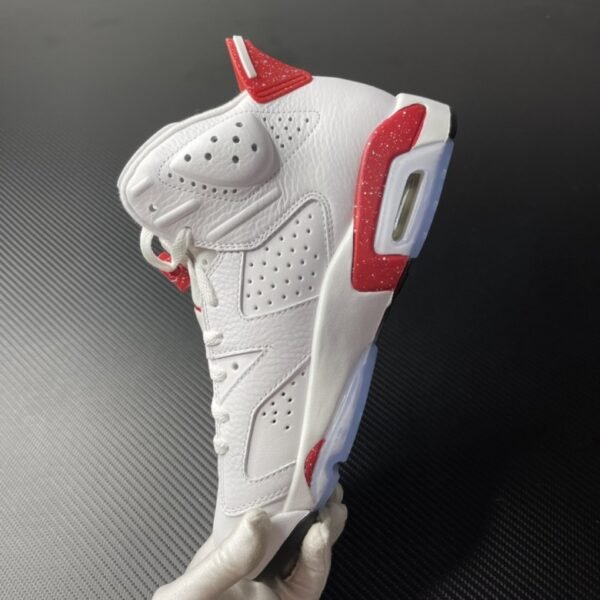 Air Jordan 6 Red Oreo