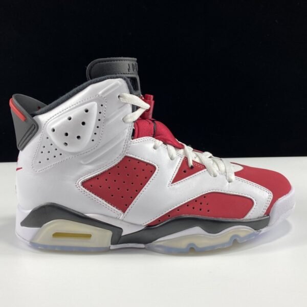 Air Jordan 6 Retro Carmine 2021