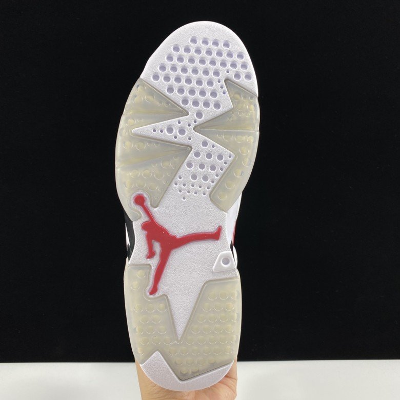 Air Jordan 6 Retro Carmine 2021