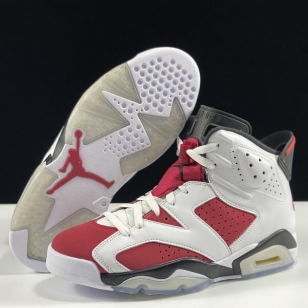 Air Jordan 6 Retro Carmine 2021