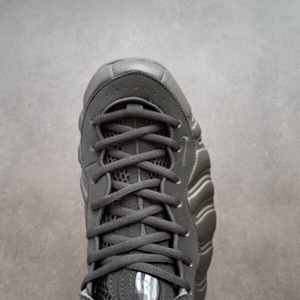 Nike Air Foamposite One Anthracite (2023)