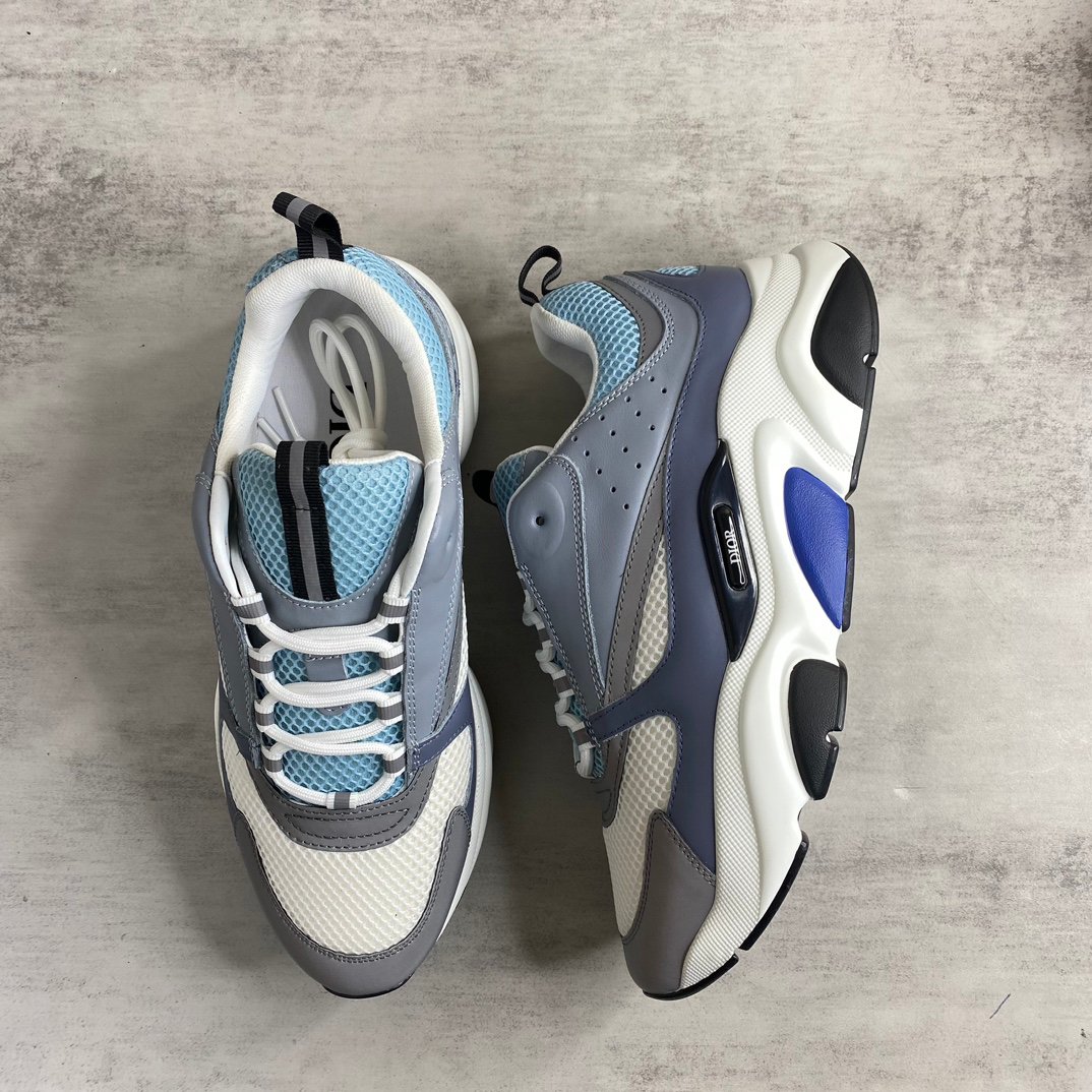 Dior Homme sneaker B22