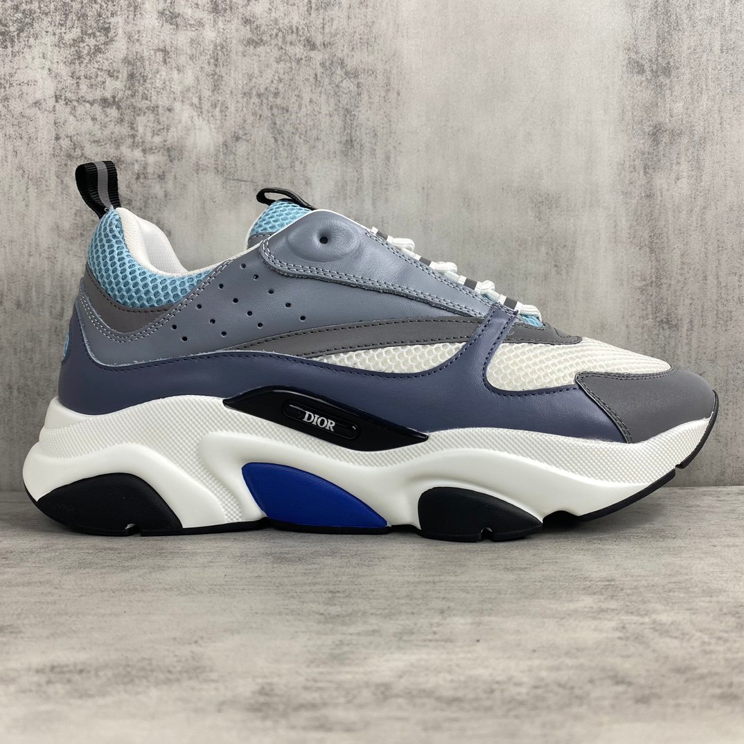 Dior Homme sneaker B22