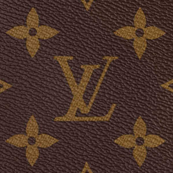 Speedy Bandoulière 25 M46977 Monogram